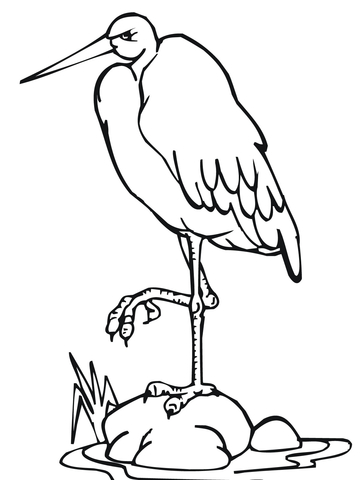 Stork Standing On One Leg Coloring Page